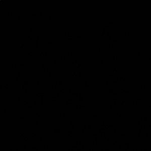 Meet your Posher, Arteen